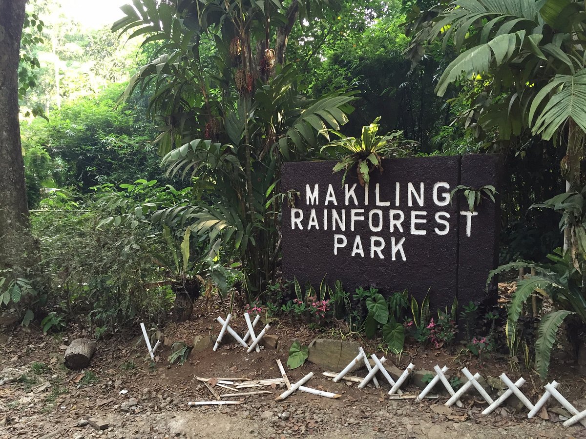 Mount Makiling Starting Point
