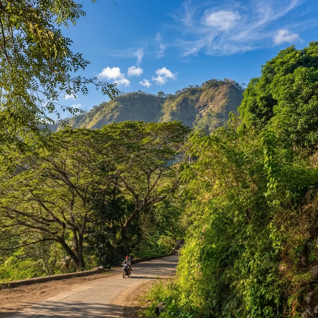 The rugged, misty mountain terrain of Sigay, known as the coffee capital of Ilocos Sur