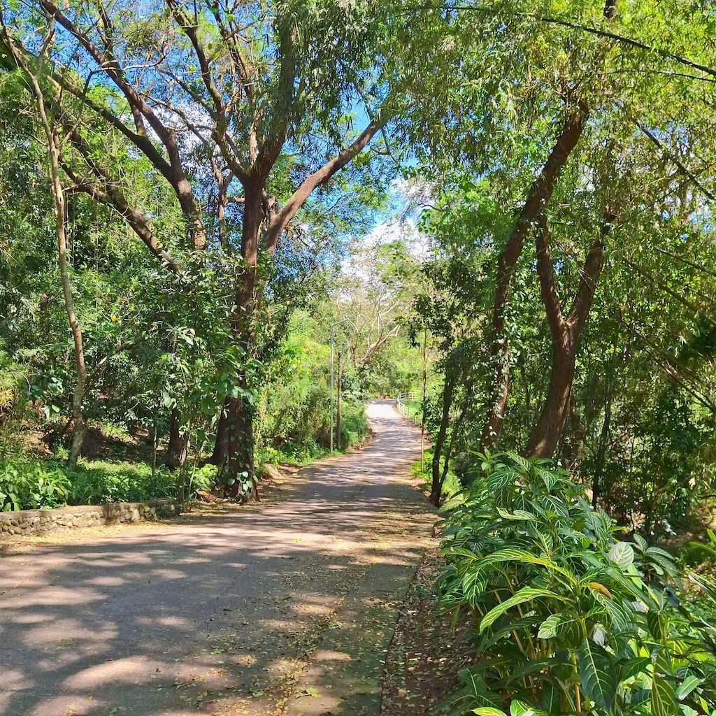 The steep paved roads leading up to Barangay Palacapac in Candon City