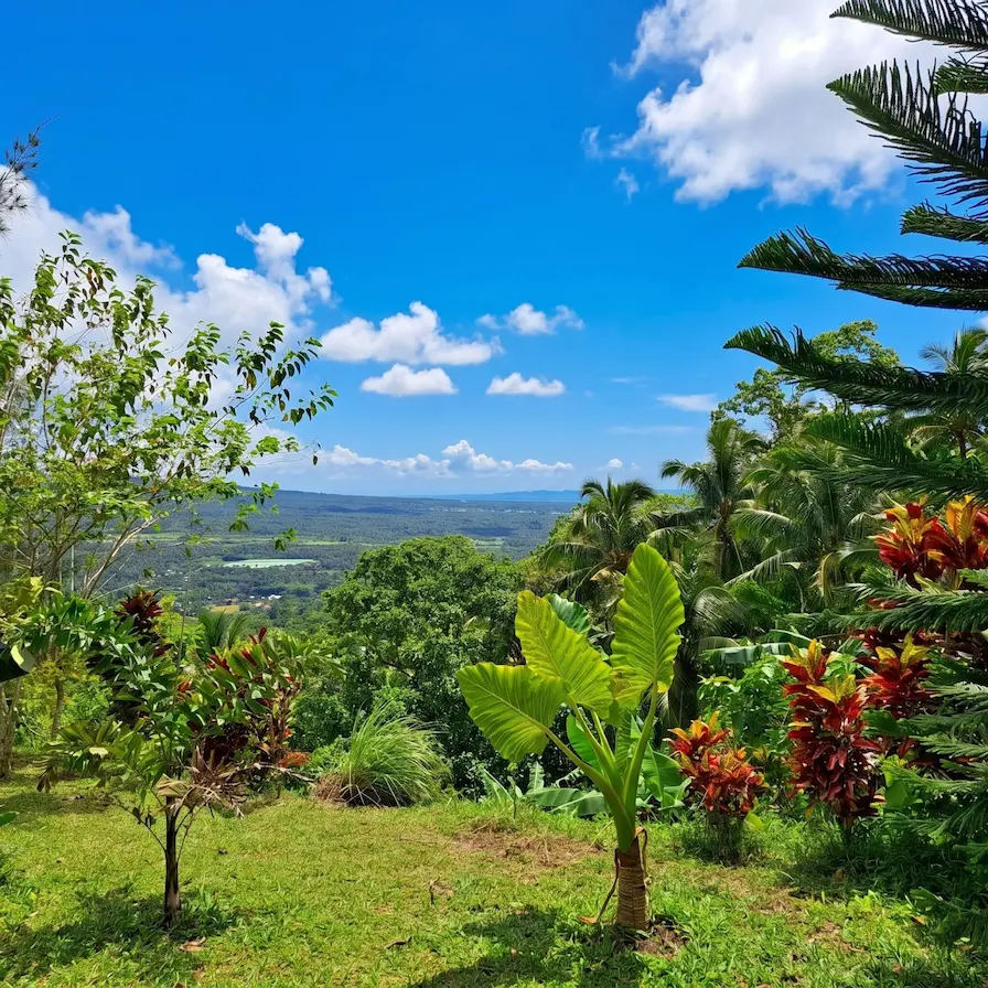 Beautiful Garden and View from Hobbit Hill Ligao City Albay