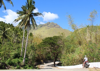 Marinduque Island landscape with palm trees, greenery, a mountain, and a motorcyclist on a road under a blue sky with clouds.