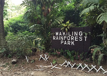 Sign for Makiling Rainforest Park at Mount Makiling, surrounded by lush tropical greenery and white markers on the ground.