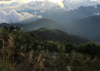 Mount Pulag with hikers on a grassy slope, a pine tree, and rolling hills under a cloudy sky with misty mountains in the distance.