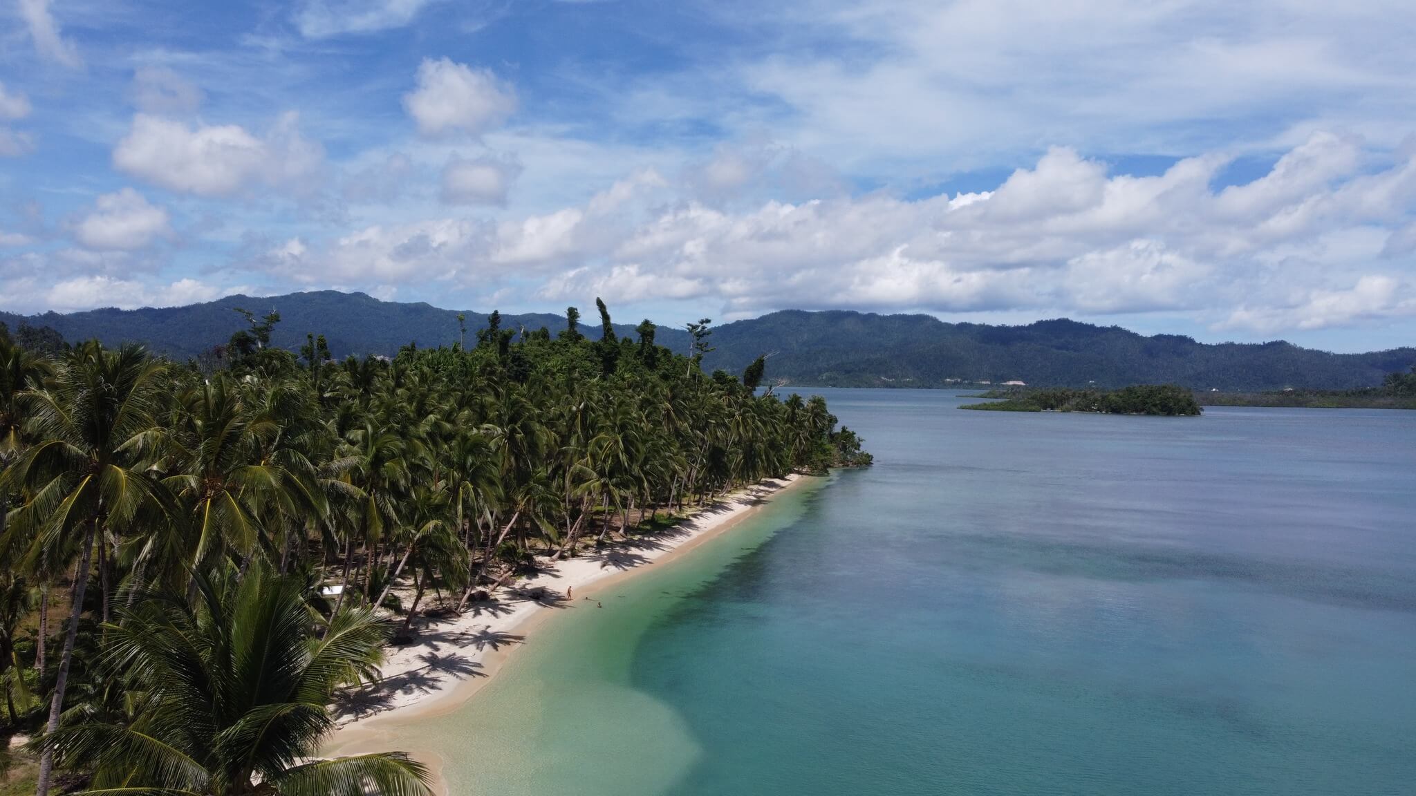 White Beach in Port Barton with turquoise waters, white sand, palm trees, and distant mountains under a partly cloudy sky.