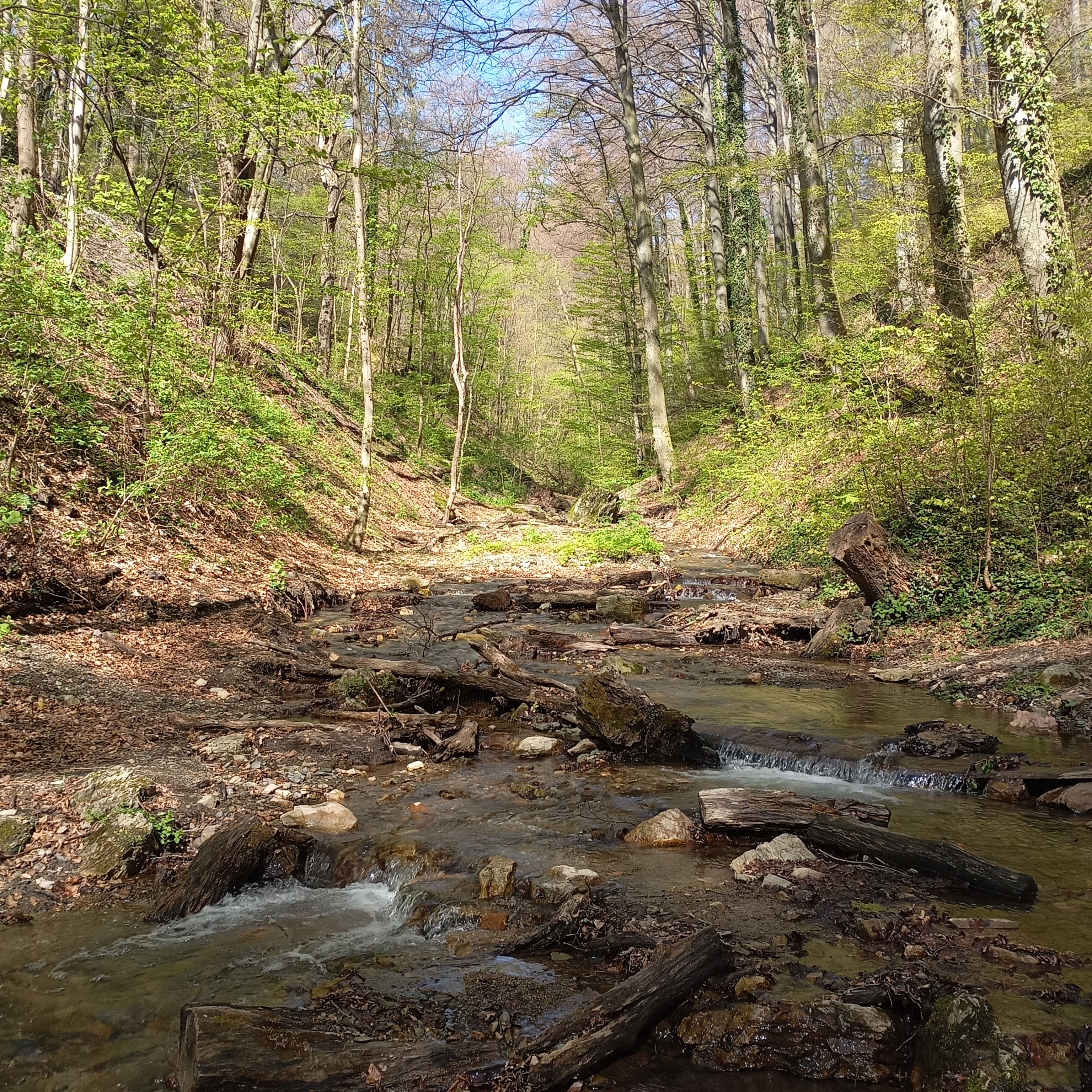 Kraljevec Stream flowing through Kraljičin Zdenac trail in Medvednica Nature Park, Zagreb, with rocks and trees