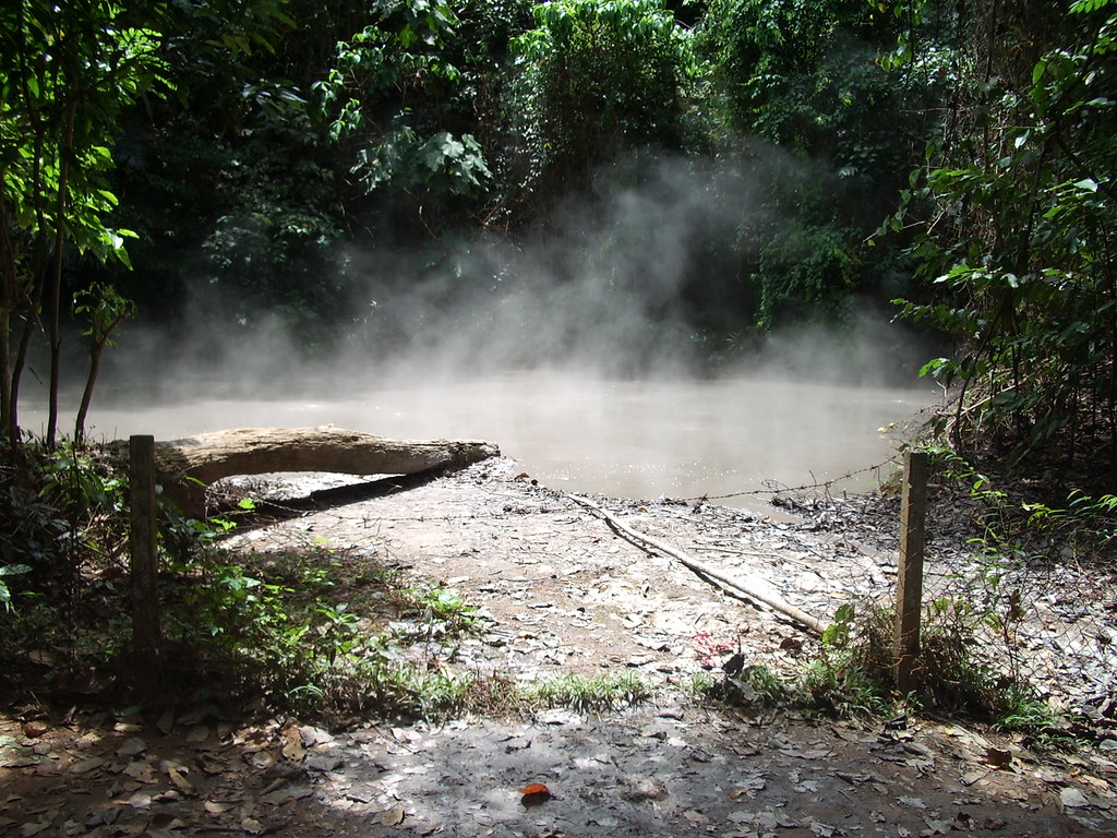 Steaming mud springs in Mount Makiling, surrounded by dense green tropical forest, with a fallen log and rustic fence in the foreground.
