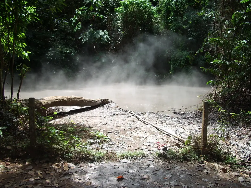 Steaming mud springs in Mount Makiling, surrounded by dense green tropical forest, with a fallen log and rustic fence in the foreground.