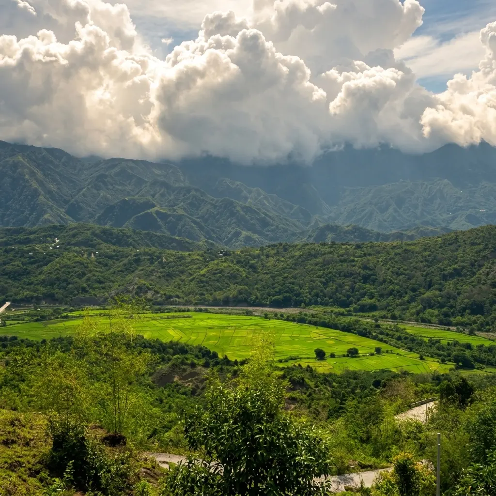 Lush green rice terraces and expansive mountain views seen from Namitpit View Deck in Quirino, Ilocos Sur