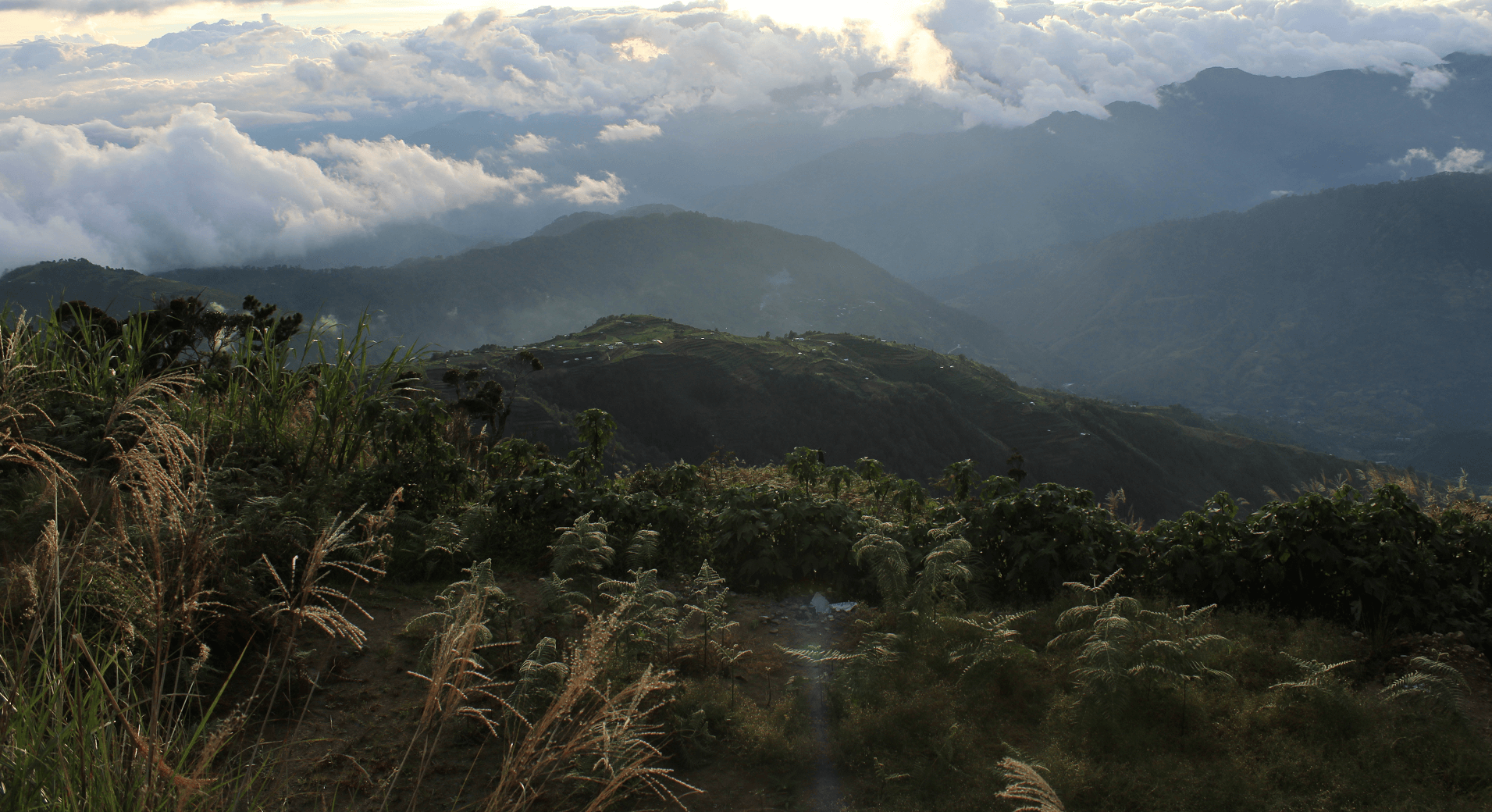 Mount Pulag landscape with sea of clouds and lush greenery under sunrise, 2025