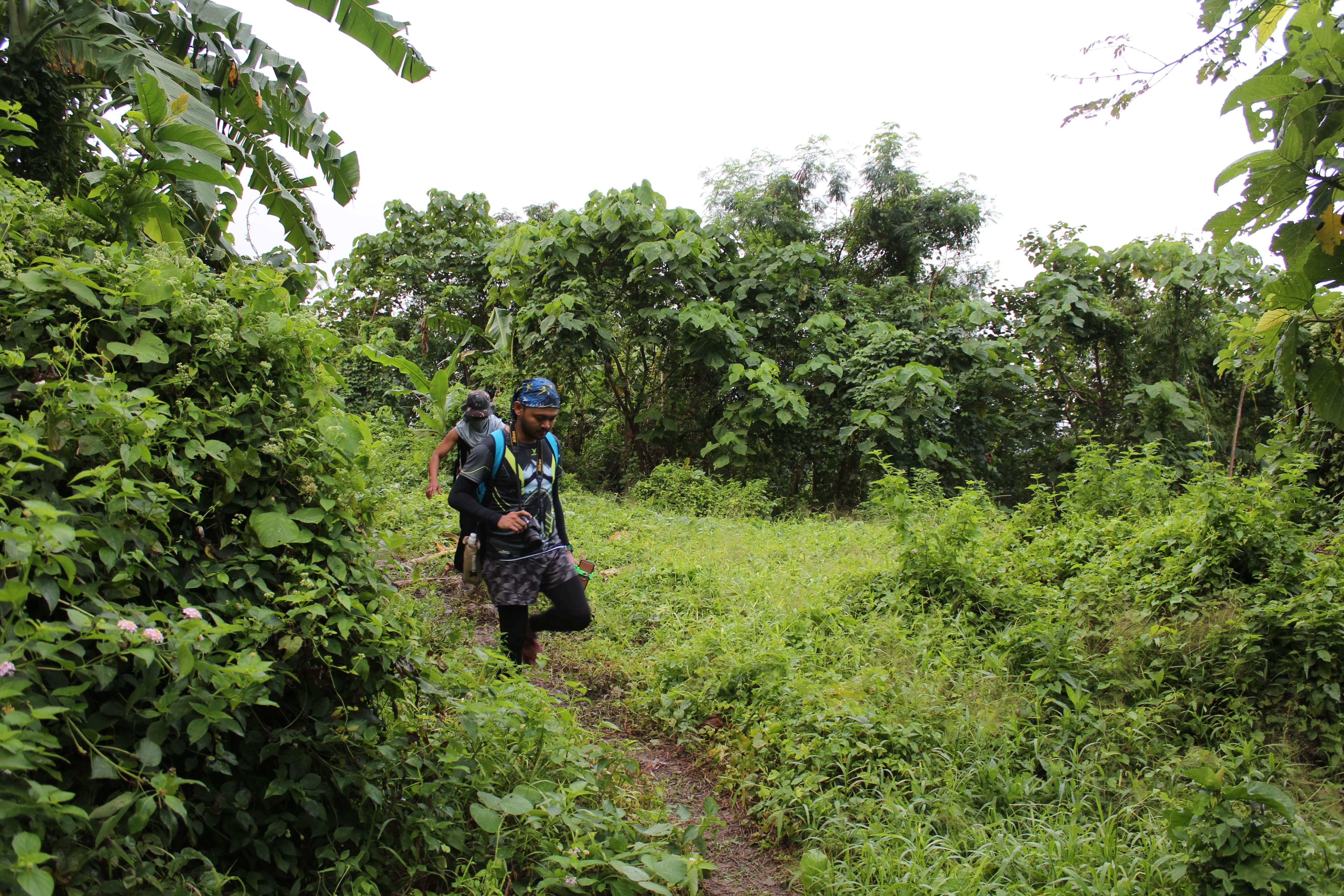 Hikers on a narrow trail at Mount Sawi surrounded by dense greenery and lush vegetation