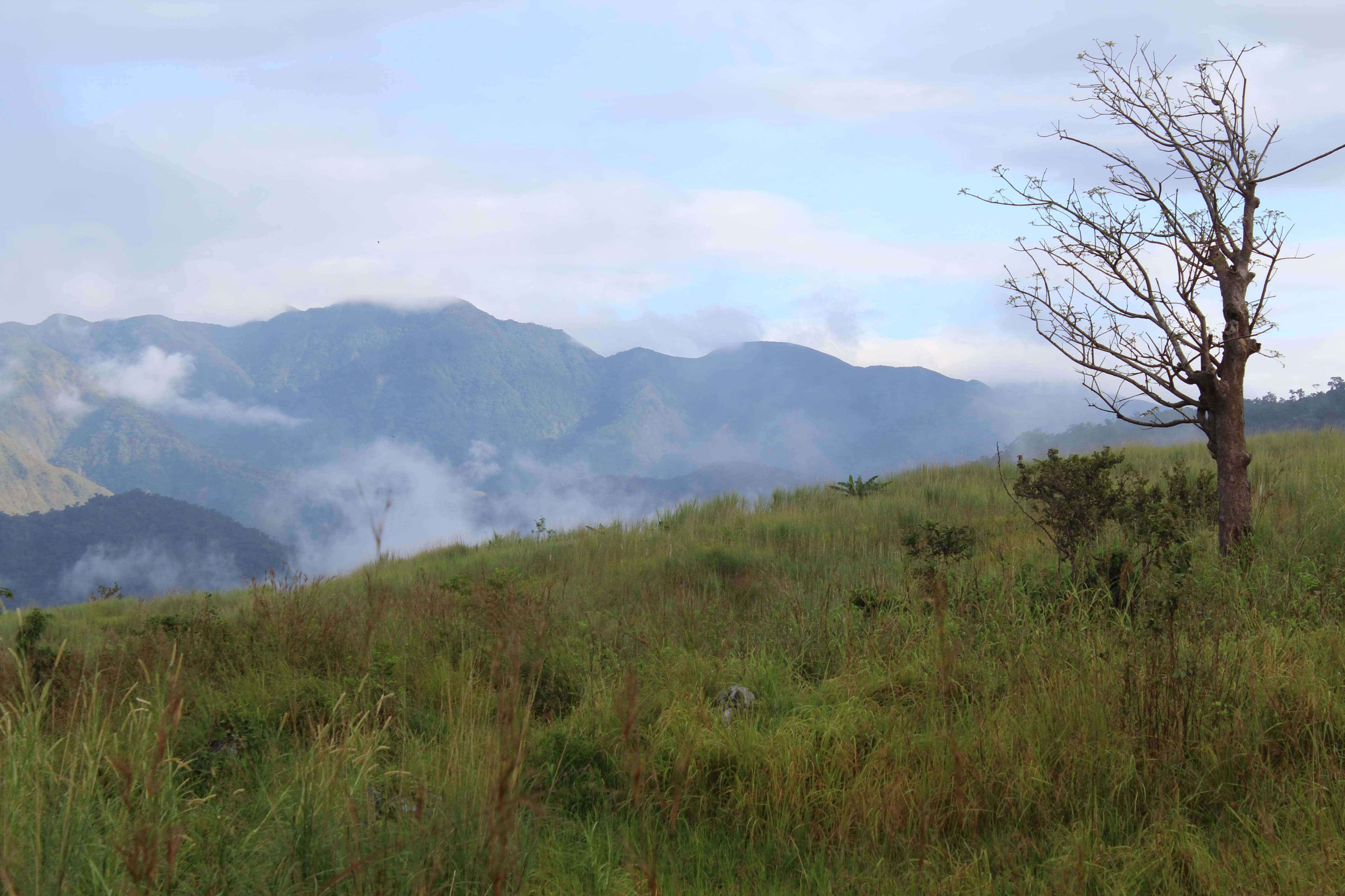 Hiker resting on Mount Sawi's grassy slope with misty mountains and valley view in the background