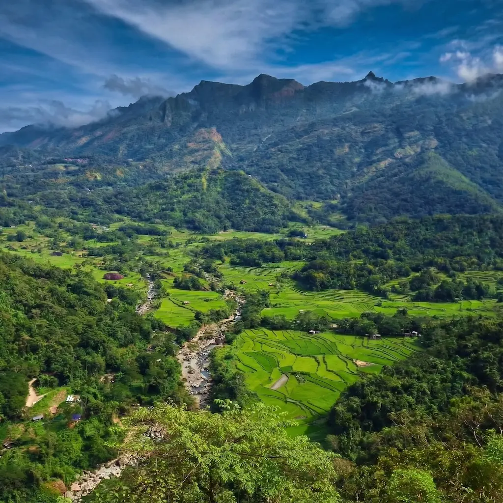 The lush green rice terraces of Sigay, Ilocos Sur